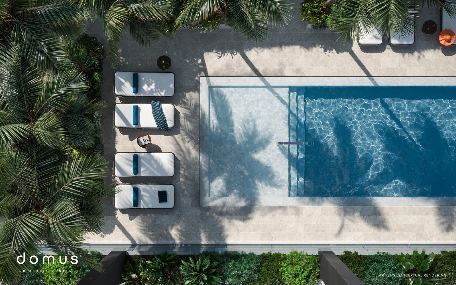 Vista aérea de la piscina rodeada de vegetación