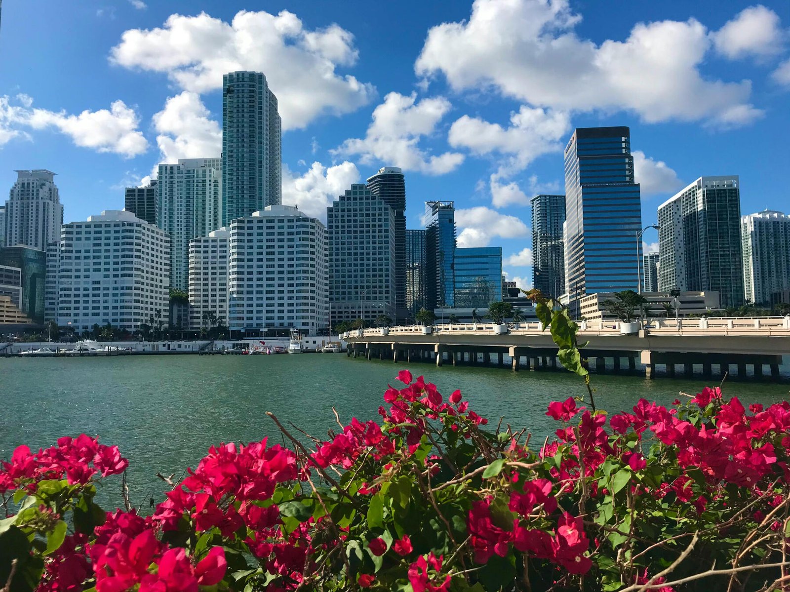 Skyline de Brickell y la bahía de Biscayne